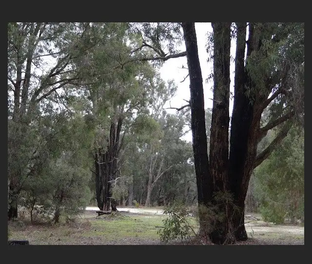 Fourth view of Homely land listing, LOT 999 Chadoora Road, Inglehope WA 6213