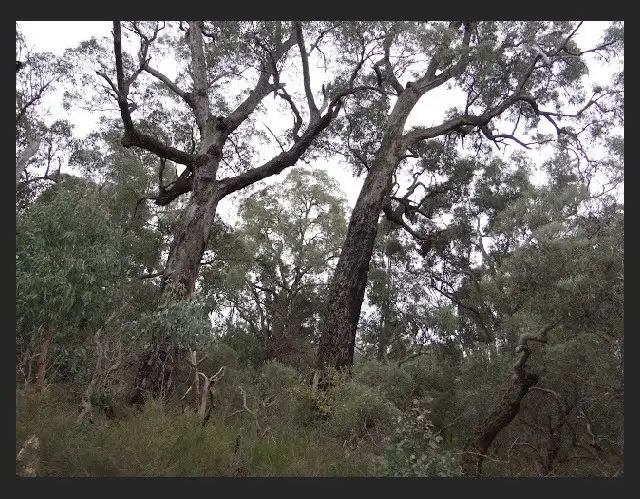 Fifth view of Homely land listing, LOT 999 Chadoora Road, Inglehope WA 6213
