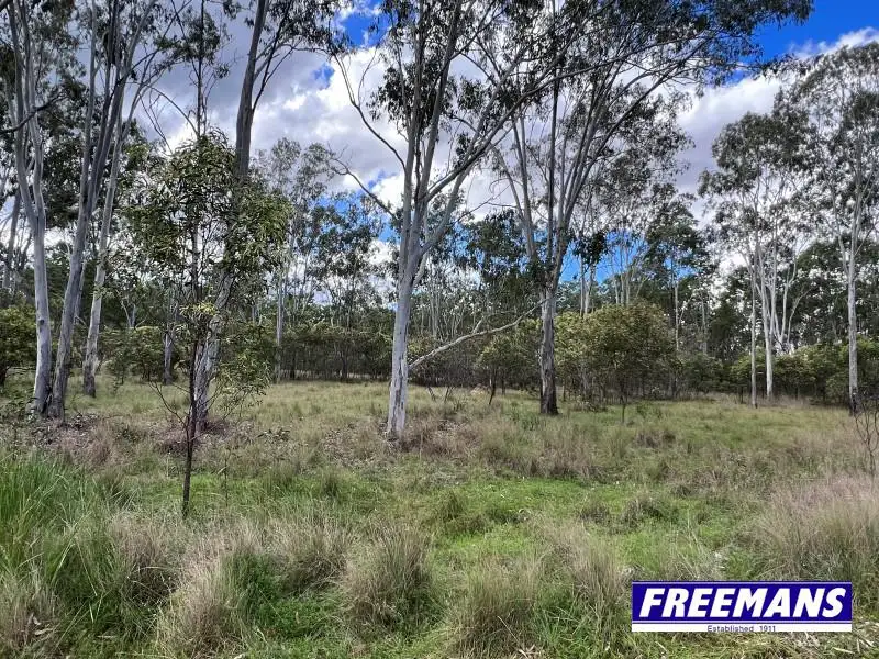 Main view of Homely land listing, 171 Mcclymont Road, Wattle Camp QLD 4615