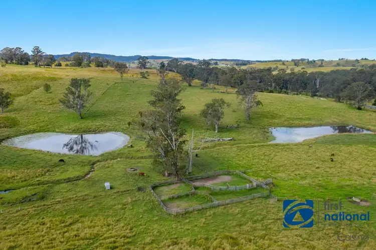 Fifth view of Homely rural property listing, Bruxner Highway, Mallanganee NSW 2469