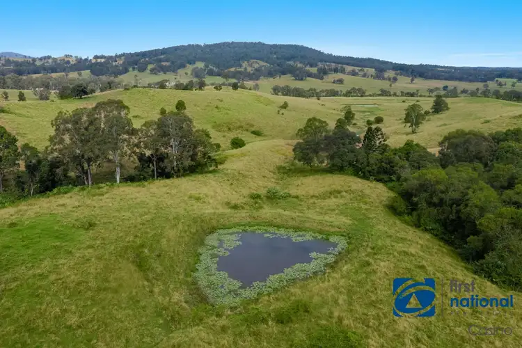 Sixth view of Homely rural property listing, Bruxner Highway, Mallanganee NSW 2469