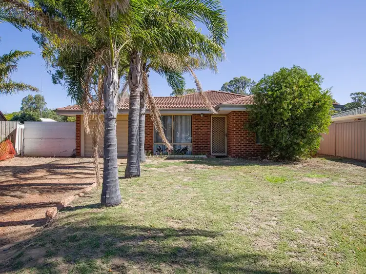 11 Fradelos Place, Usher WA 6230