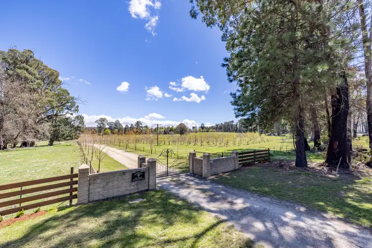 2289 Batlow Road, Laurel Hill NSW 2649