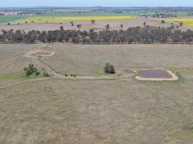 'Picola' 2676 Mid Western Highway, North Yalgogrin NSW 2671