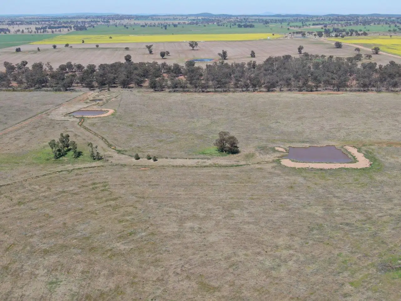 Main view of Homely rural property listing, 'Picola' 2676 Mid Western Highway, North Yalgogrin NSW 2671