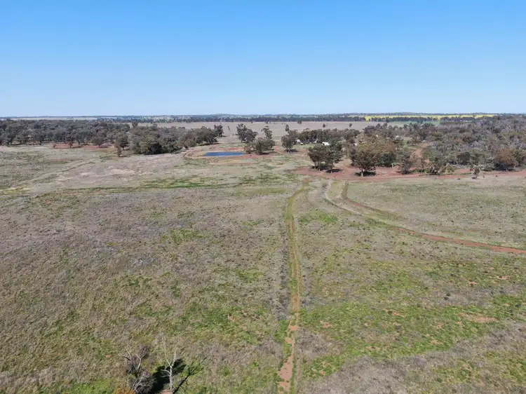 Fifth view of Homely rural property listing, 'Picola' 2676 Mid Western Highway, North Yalgogrin NSW 2671