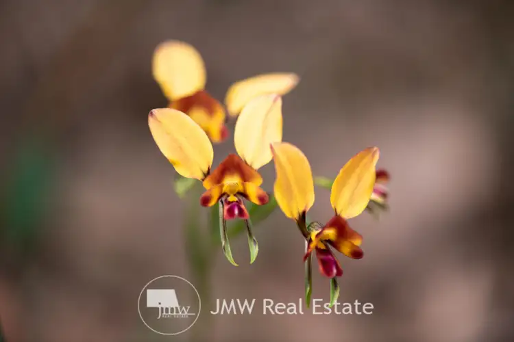 Seventh view of Homely land listing, LOT 501 Witchcliffe Forest Estate, 22 Redgate Road, Witchcliffe WA 6286