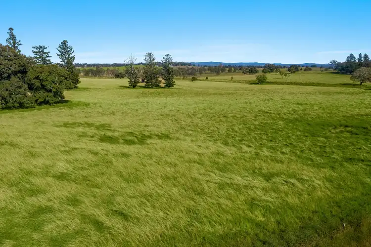 Sixth view of Homely rural property listing, Lot 2 Junors Road, Backmede NSW 2470