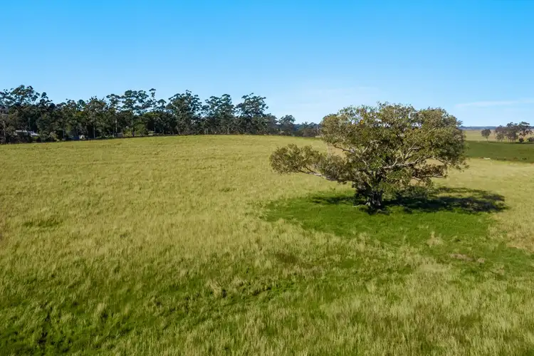 Seventh view of Homely rural property listing, Lot 2 Junors Road, Backmede NSW 2470