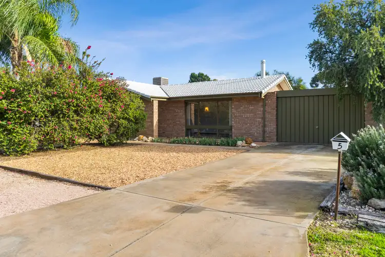 5 Dyer Court, Renmark SA 5341