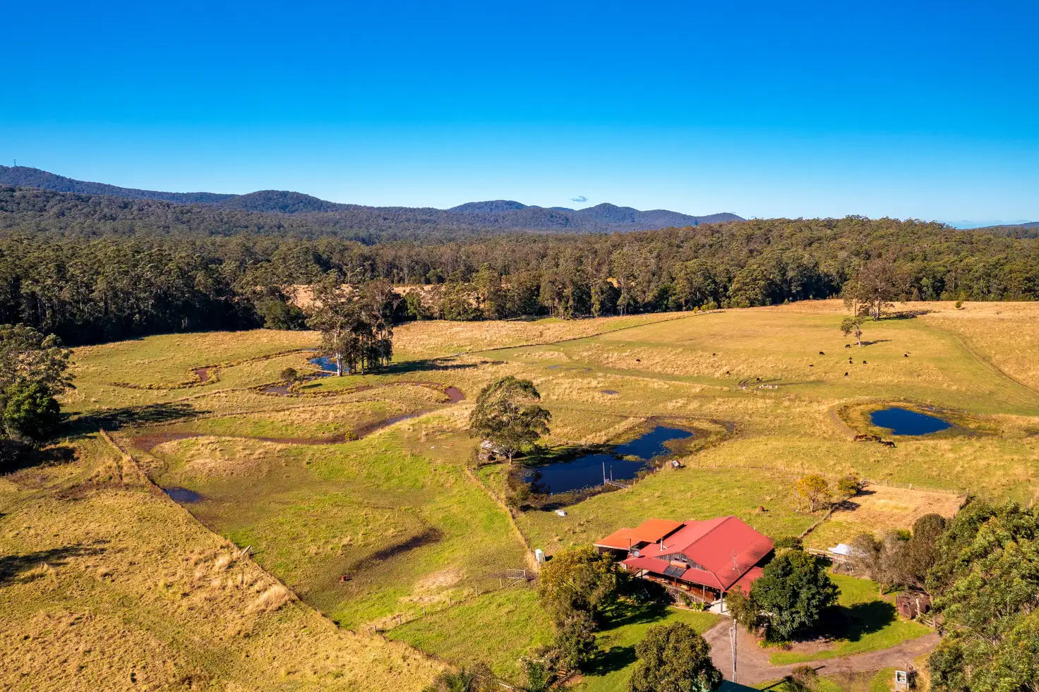 Main view of Homely rural property listing, 444 Wootton Way, Boolambayte NSW 2423