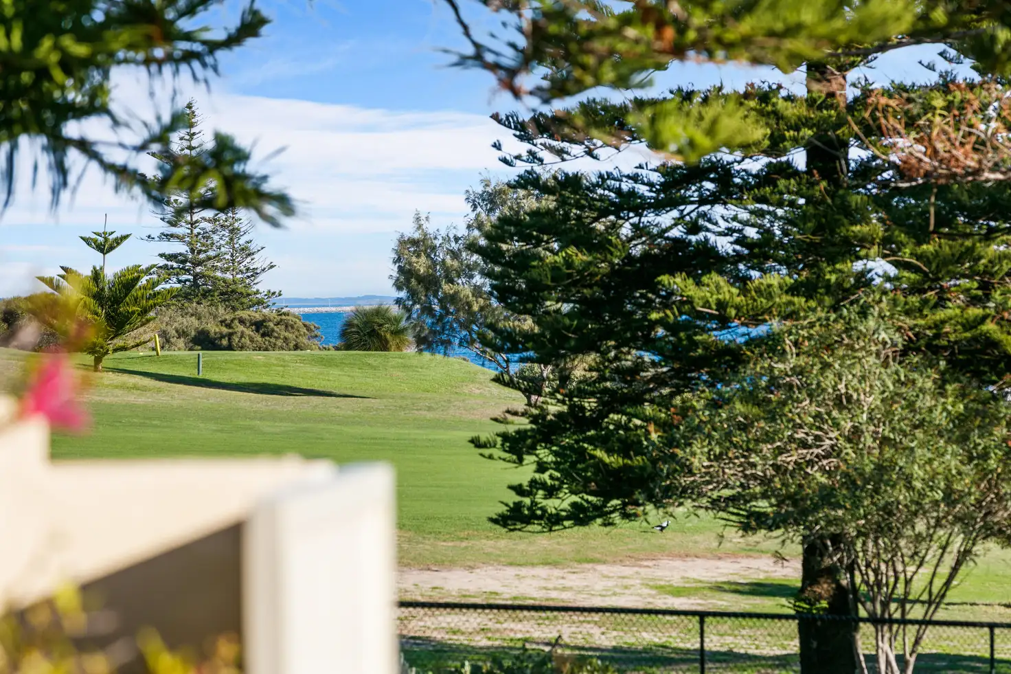 Main view of Homely house listing, 20 Forrest Street, Cottesloe WA 6011