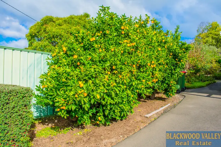 Fourth view of Homely house listing, 29 Bridge Street, Boyup Brook WA 6244