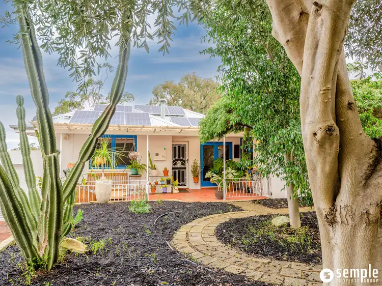45 Curven Road, Hamilton Hill WA 6163