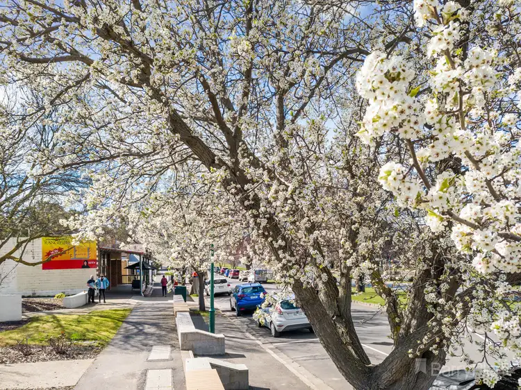 Third view of Homely land listing, Lot 14 / No 28 Yellowgum Ave, Riddells Creek VIC 3431