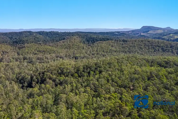 Third view of Homely rural property listing, 3315 Busbys Flat Road, Busbys Flat NSW 2469