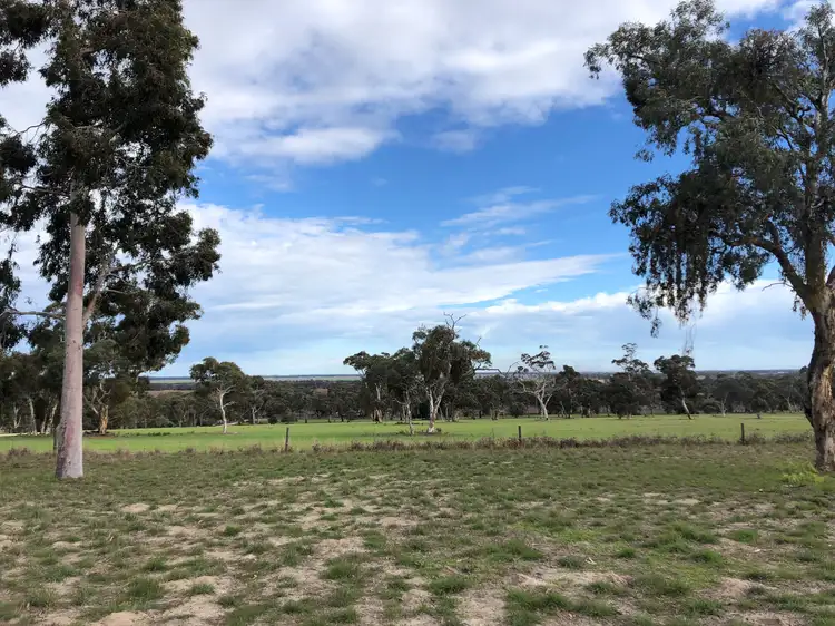 6465 Riddoch Highway, Padthaway SA 5271