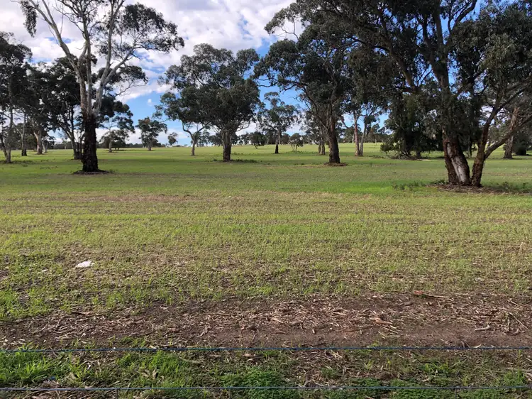 Second view of Homely rural property listing, 6465 Riddoch Highway, Padthaway SA 5271