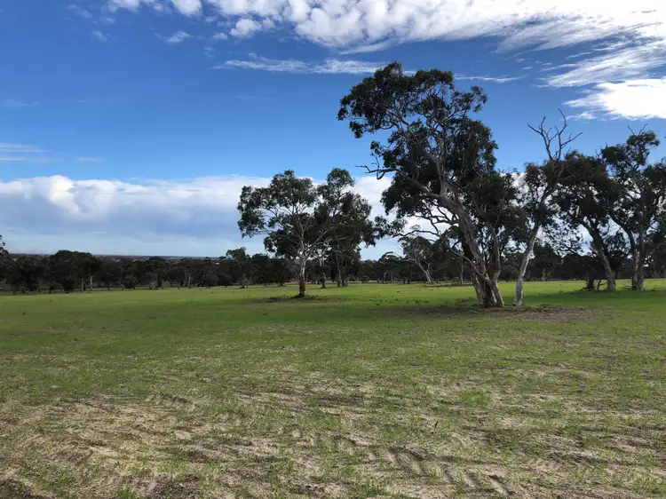 Third view of Homely rural property listing, 6465 Riddoch Highway, Padthaway SA 5271