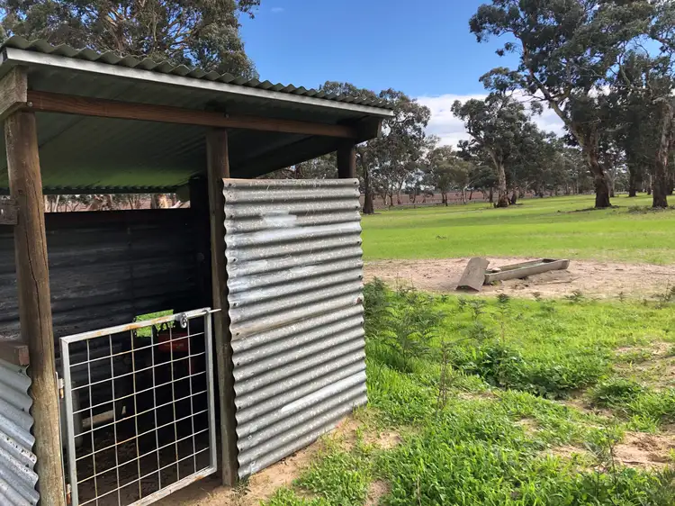 Fifth view of Homely rural property listing, 6465 Riddoch Highway, Padthaway SA 5271