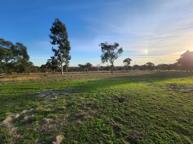 Sixth view of Homely rural property listing, 6465 Riddoch Highway, Padthaway SA 5271