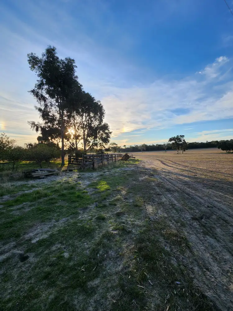 Seventh view of Homely rural property listing, 6465 Riddoch Highway, Padthaway SA 5271