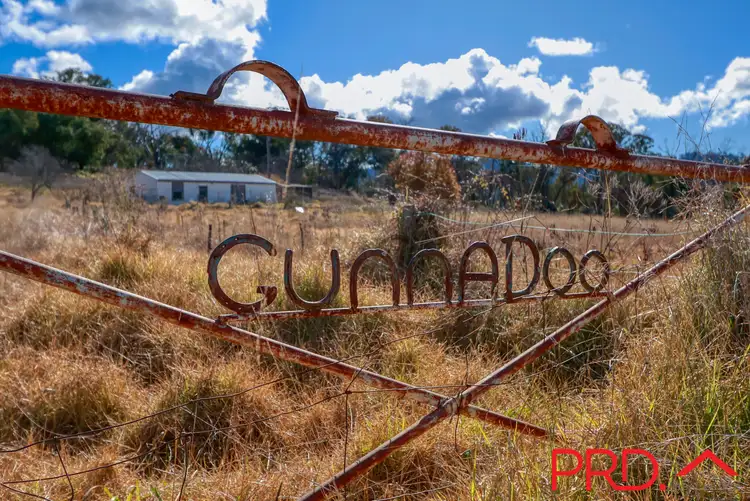 Second view of Homely rural property listing, 130 Hanwood Road, Moonbi NSW 2353