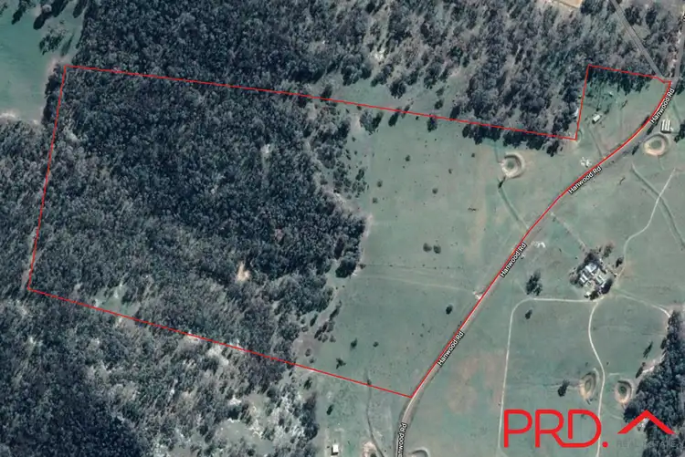 Third view of Homely rural property listing, 130 Hanwood Road, Moonbi NSW 2353