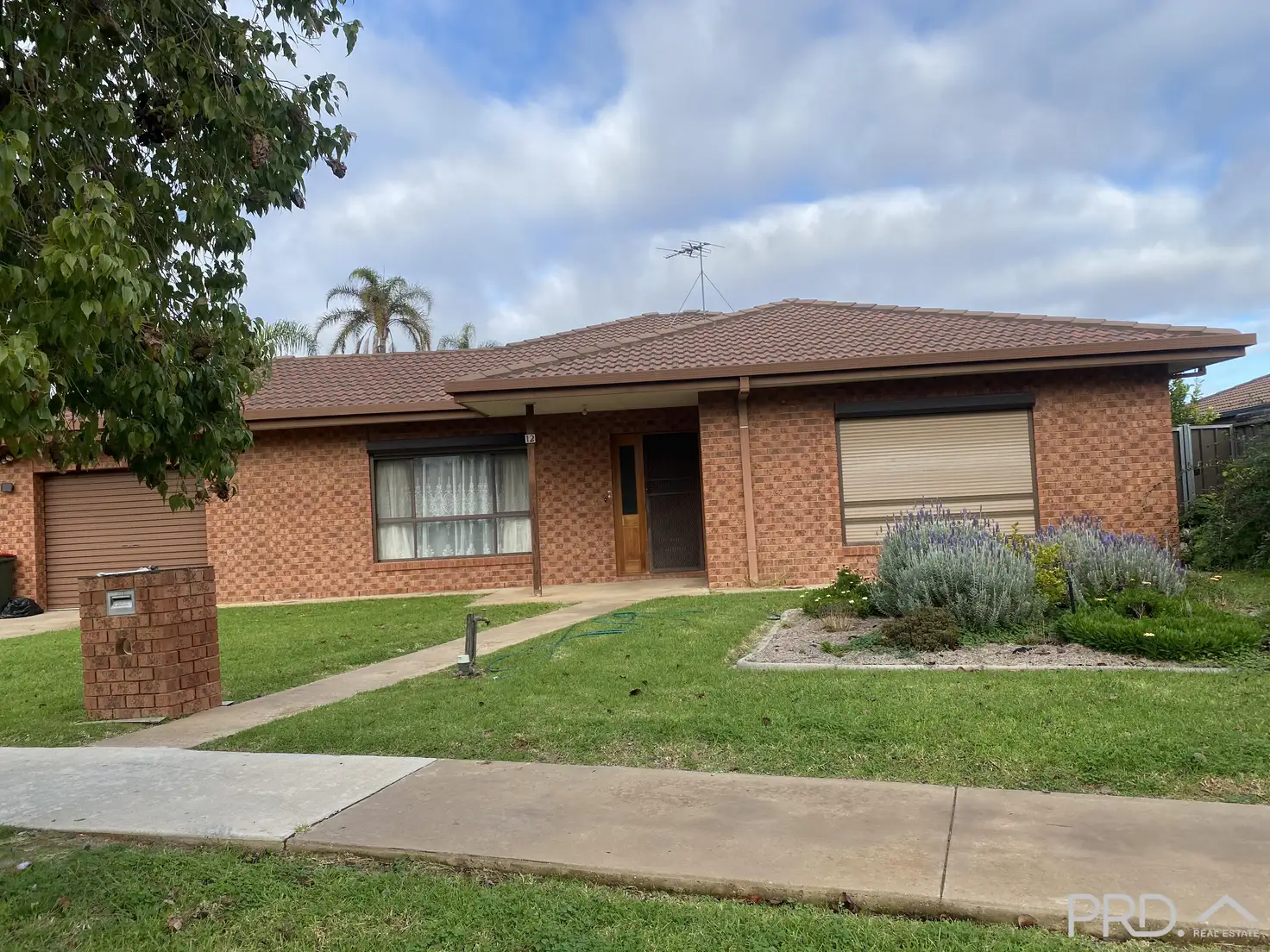 Main view of Homely house listing, 12 Rambling Way, Mildura VIC 3500