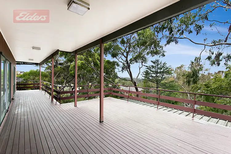 Main view of Homely house listing, 51 Craigholm Street, Sylvania NSW 2224