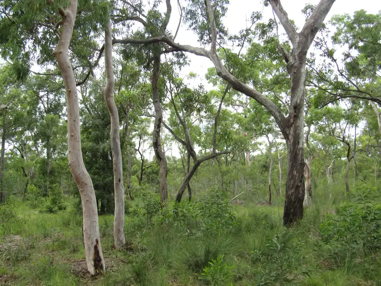 Sixth view of Homely land listing, 534 Davies, Captain Creek QLD 4677