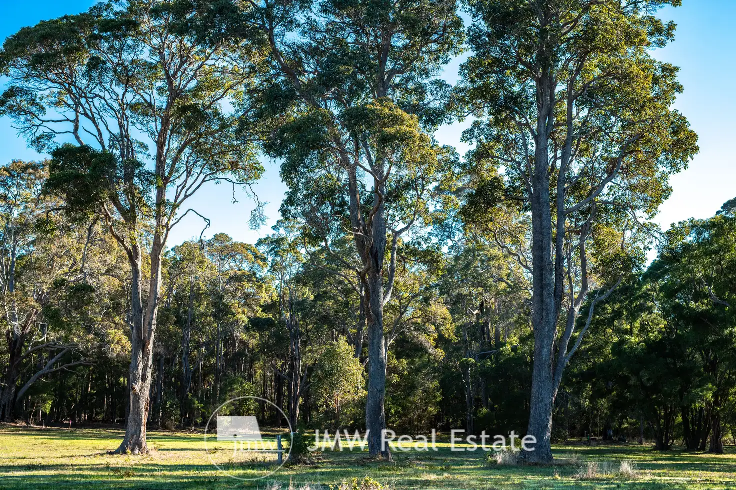 Main view of Homely land listing, LOT 509 Witchcliffe Forest Estate, 22 Redgate Road, Witchcliffe WA 6286