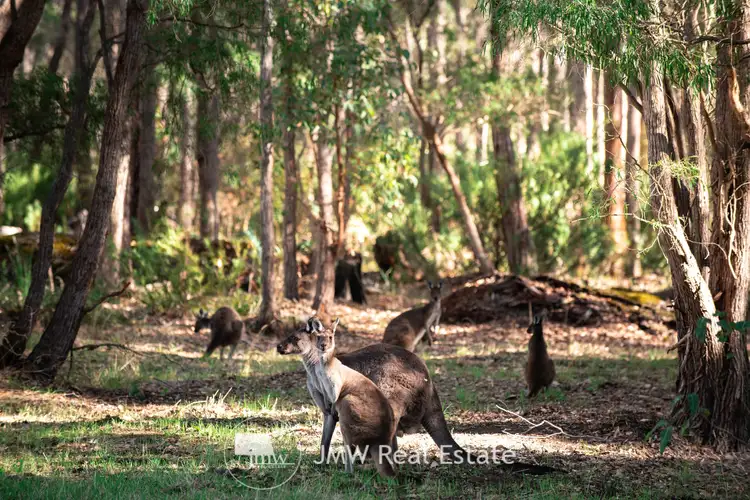 Third view of Homely land listing, LOT 509 Witchcliffe Forest Estate, 22 Redgate Road, Witchcliffe WA 6286