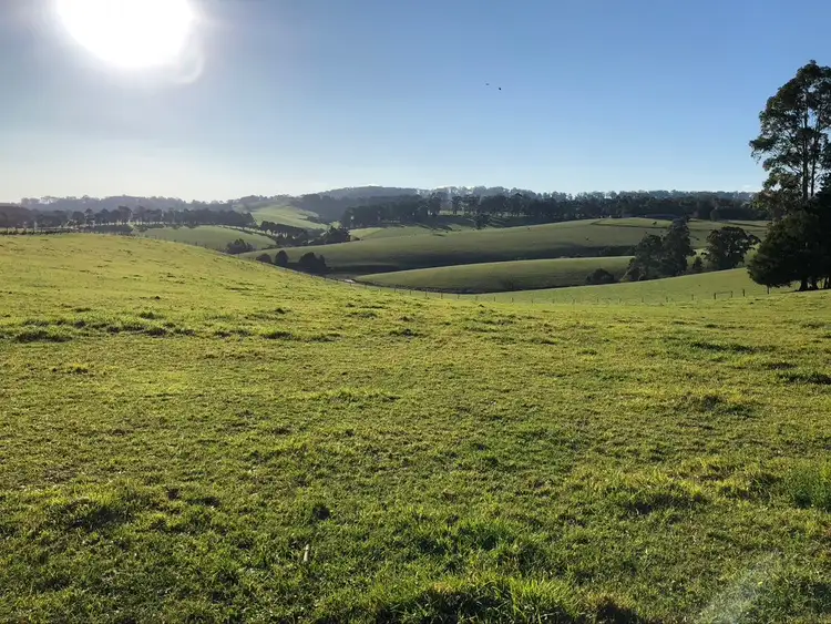 Sixth view of Homely land listing, 885 Berrys Creek Road, Mirboo North VIC 3871