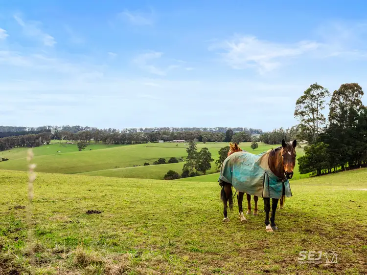 Seventh view of Homely land listing, 885 Berrys Creek Road, Mirboo North VIC 3871