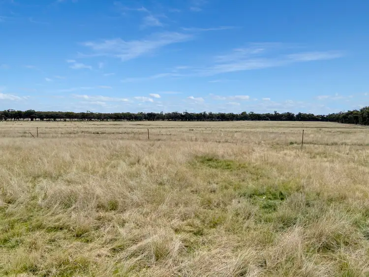 Fifth view of Homely rural property listing, 27 Tara-Bectric Road, Temora NSW 2666