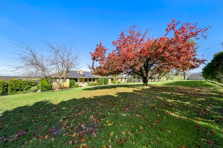 Sixth view of Homely rural property listing, 166 East Kurrajong Road, East Kurrajong NSW 2758