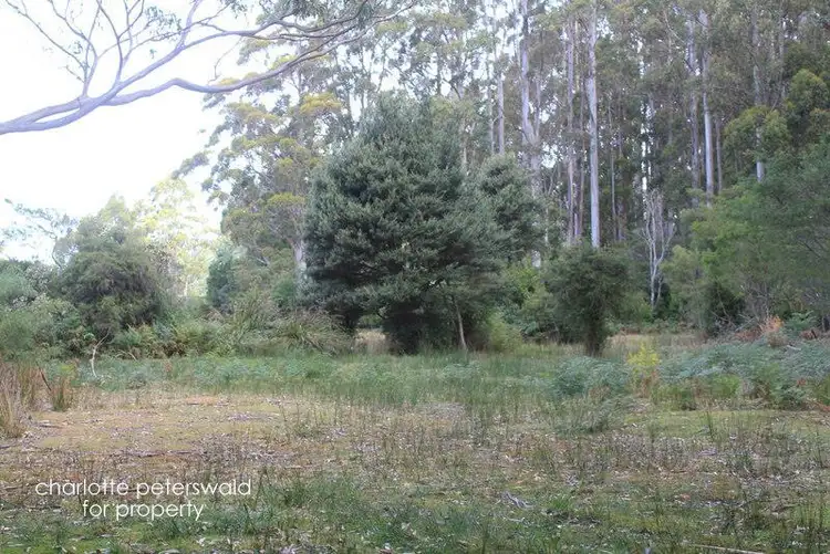 Fourth view of Homely land listing, 242 Lookout Road, Port Arthur TAS 7182