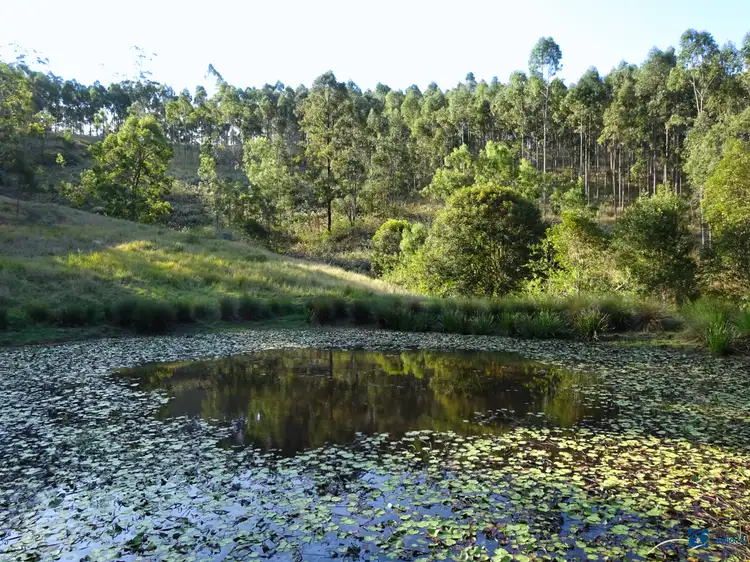 Third view of Homely rural property listing, 408 Farm Road, Lower Peacock NSW 2469