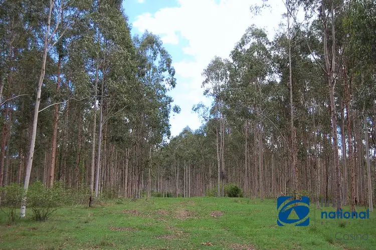 Fourth view of Homely rural property listing, 408 Farm Road, Lower Peacock NSW 2469