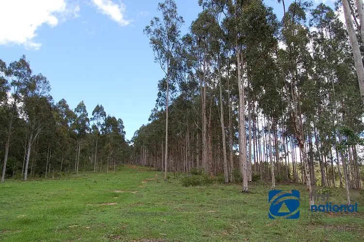 Fifth view of Homely rural property listing, 408 Farm Road, Lower Peacock NSW 2469