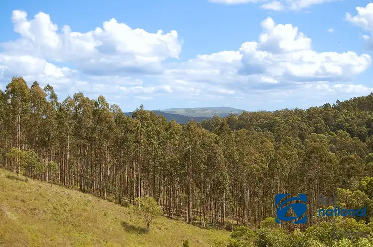 Sixth view of Homely rural property listing, 408 Farm Road, Lower Peacock NSW 2469