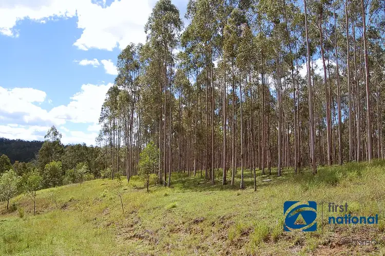 Seventh view of Homely rural property listing, 408 Farm Road, Lower Peacock NSW 2469