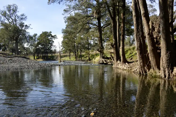 Main view of Homely rural property listing, 44 Thompsons Road, Cassilis NSW 2329
