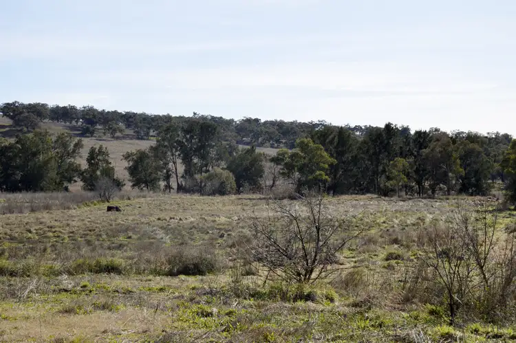 Seventh view of Homely rural property listing, 44 Thompsons Road, Cassilis NSW 2329