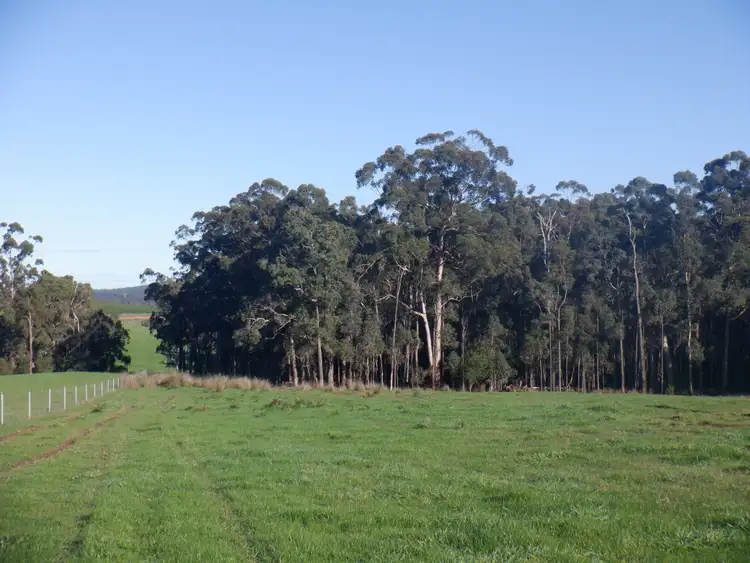 Seventh view of Homely rural property listing, Lot 1107 Wetherall Road, Pemberton WA 6260