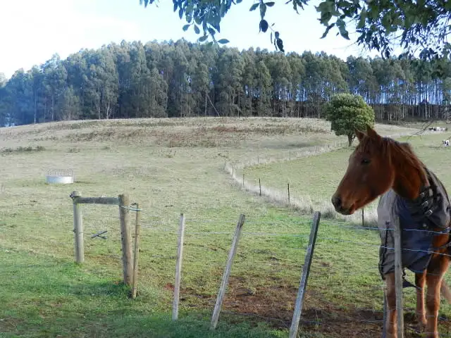 Third view of Homely rural property listing, 0 Duffs Road, Riana TAS 7316