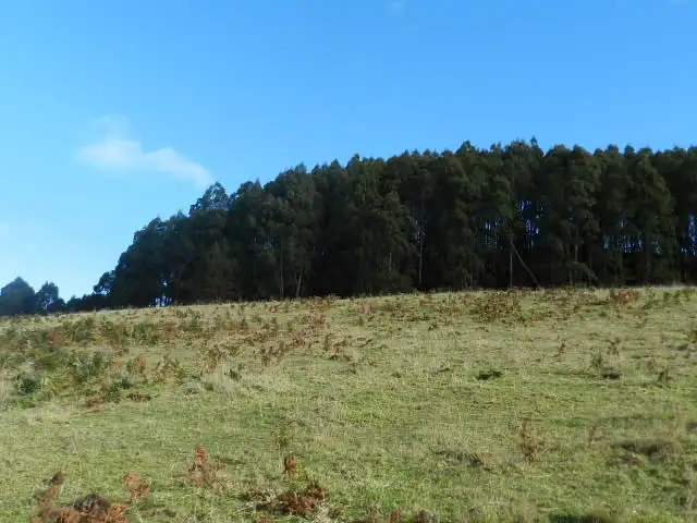 Fourth view of Homely rural property listing, 0 Duffs Road, Riana TAS 7316