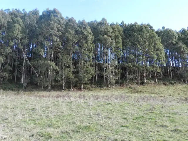Fifth view of Homely rural property listing, 0 Duffs Road, Riana TAS 7316