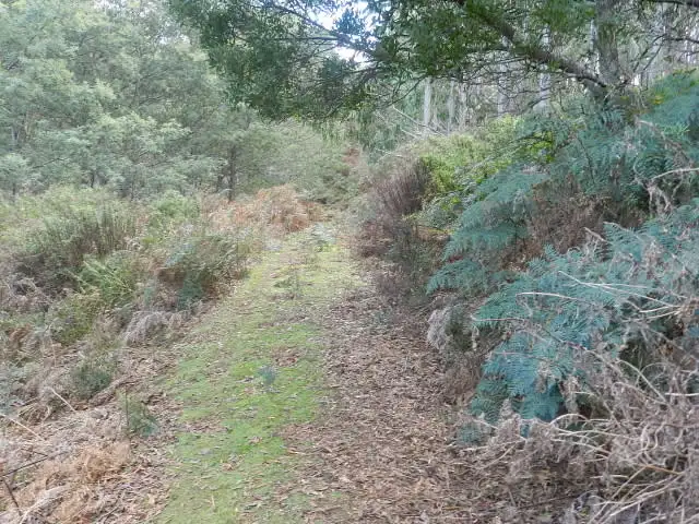 Sixth view of Homely rural property listing, 0 Duffs Road, Riana TAS 7316